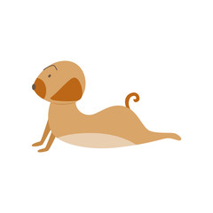 Pug cute puppy or dog stretching in Yoga pose, flat vector illustration isolated.