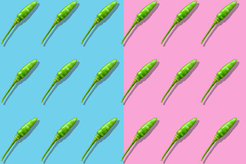 Pattern of chilli red and green color in pastel background