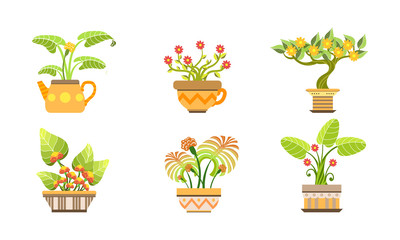 Blooming Potted Plants Set, Home or Office Decorative Plants and Flowers in Pots Vector Illustration