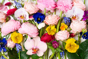 Ranunculus flat lay composition