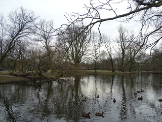 estanque vondelpark amsterdam  holanda paises bajos 