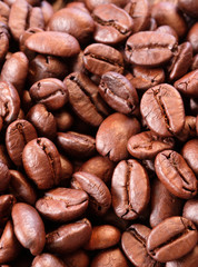 close up roasted coffee bean on white background
