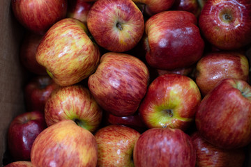 Red ripe apple background a juisy texture