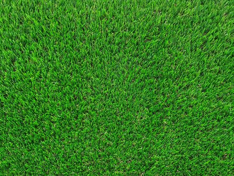 artificial green grass background texture