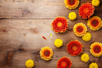 Floral nature composition of beautiful yellow and orange gerbera flowers on wooden rustic table top view. Autumn concept. Greeting card.