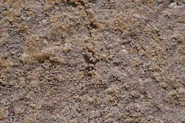 The texture of the wall of the building. Background for exterior design.