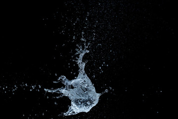 High-speed shot of a water balloon bursting on black background.
