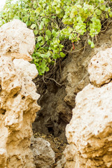 Rocky mountain scenery, Dolomites, Italy