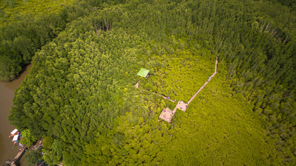 A small wooden bridge connecting the viewpoint inside Thung Prong Thong consisting of pine trees and mangrove trees.  it is a large mangrove forest and is a famous tourist attraction of Rayong provinc