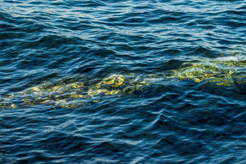View of Dead Sea coastline