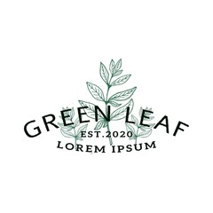 Green Leaf or Tree Vintage Logo Design Retro