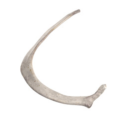 With using of our cutting edge human 3D model