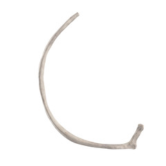 With using of our cutting edge human 3D model