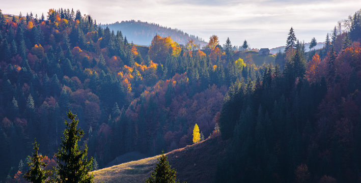 great panoramic view of romania mountain landscape. forested slopes in evening light. deciduous trees in fall foliage. warm autumn afternoon scenery. village on top of a hill in the distance