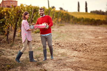 young couple with grape in the vineyard.