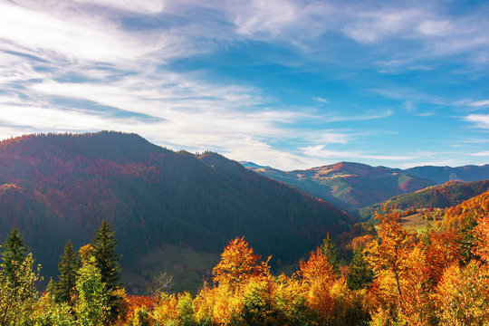 great view of romania mountain landscape. forested slopes in evening light. deciduous trees in fall foliage. warm autumn afternoon scenery beneath a gorgeous sky with clouds. village down in the dista