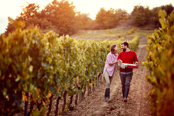 man and woman walking in between rows of vines.