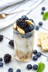 Ingredients for smoothies of banana, blueberry, blackberry, oatmeal and yogurt