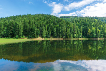 Fototapeta na wymiar beautiful summer landscape in mountains. lake among the spruce forest. wonderful sunny weather with some clouds on the sky. scenery reflecting in the water. great symmetric view of green and blue natu