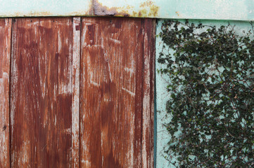 古い木の扉とツタに覆われた緑の壁