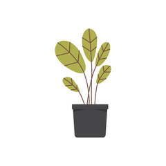 Flat cartoon potted plant isolated on white background - vector illustration.