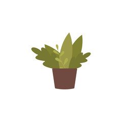 Flat cartoon house plant in brown pot isolated on white background