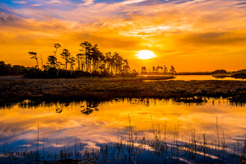 The Fiery Colors Of  Sunrise 