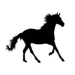 Fototapeta na wymiar silhouette of a horse isolated on white background