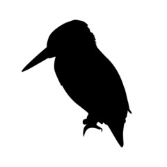 black silhouette of bird