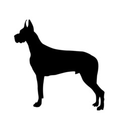 black silhouette of a dog