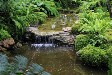 Forest stream with green vegetation in the river: ferns,  leaves and rocks covered with moss. 