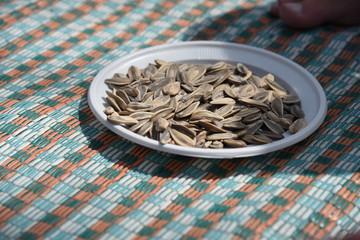 sunflower seeds in bowl