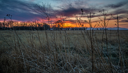 Rocky Mountain Arsenal Colorado