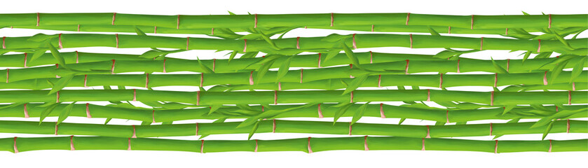 Bright green bamboo leaves banner on white background
