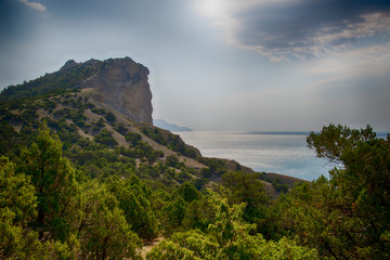 Fototapeta na wymiar Beautiful summer landscape in Crimea