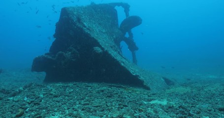 Mazatlan Shipwreck, reefs of Sea of Cortez, Pacific ocean. Isla Cerralvo, Baja California Sur, Mexico.