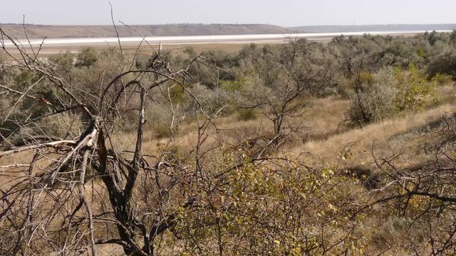 Global warming is causing hot summers and droughts in some regions of Europe in 2019. For example, in Ukraine, in the middle of summer, many ponds dried up. 