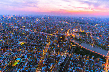 Aerial view of Tokyo city in twilight sky