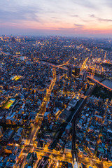 Aerial view of Tokyo city in twilight sky