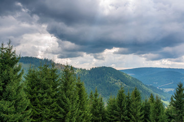 Scenic view to the top of the mountains, dense pine woods, stormclouds in Transylvania, Romania at early autumn.