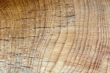 Naklejka premium old wooden surface, background image