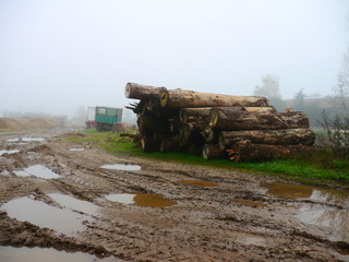 Furchen im Schlamm von Traktoren im Herbstnebel