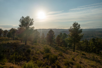 Fototapeta na wymiar Mountains in the prat del comte, Tarragona