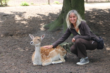 Frau streichelt Damwild im Streichelzoo