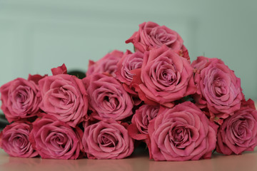 Beautiful bouquet of pink roses on blue background. Closeup. Selective focus. Love, Valentines day, romance, retro copy spase