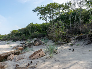 view of abandoned wooden footpaths, sandy beach, Curonian Spit, Russia