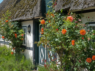 Obraz premium reetgedecktes Bauernhaus in Sieseby an der Schlei