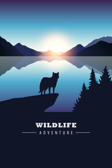 wildlife adventure wolf in the wilderness by the lake at sunset vector illustration EPS10