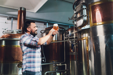 Oktoberfest festival. Tasting fresh brewed beer. Brewer holds glass with craft beer. Brewery...