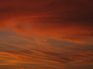 Fototapeta premium orange sky